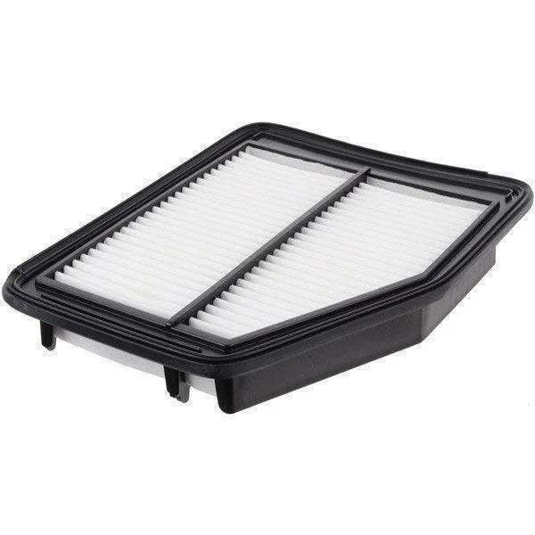 CIVIC REBIRTH RIA LEPPON 20555 Air Filter