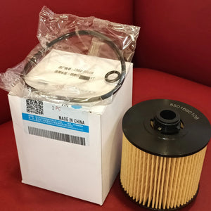 PROTON X7 Oil filter